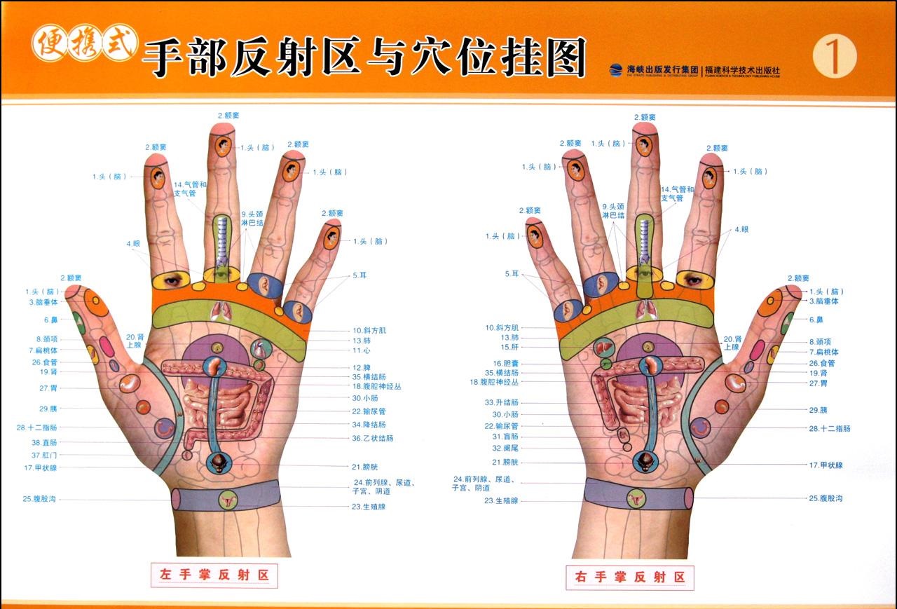 經(jīng)絡(luò)多久疏通一次好？